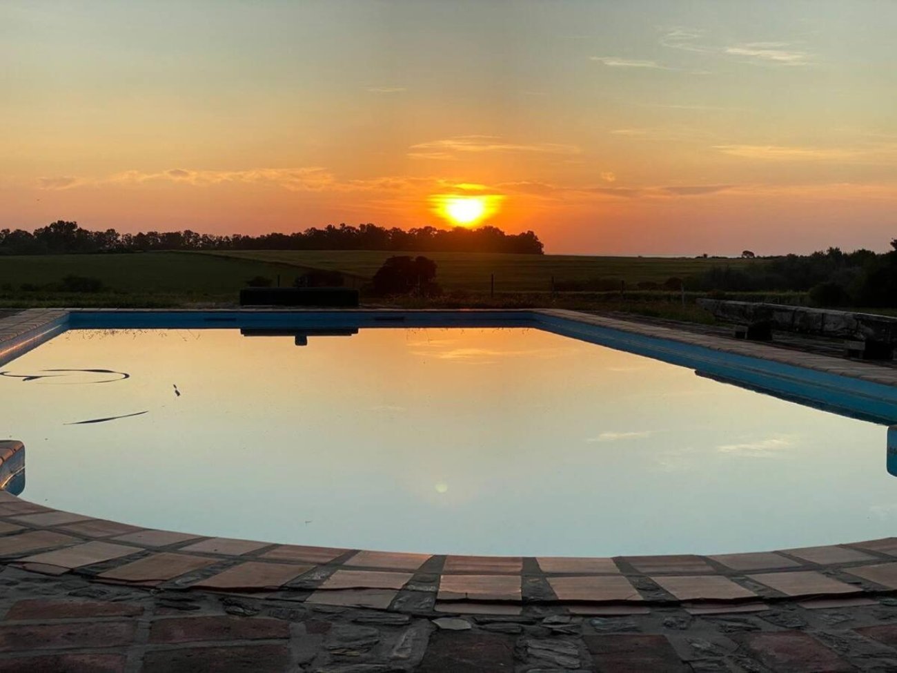 Zorzal casa de campo (1)